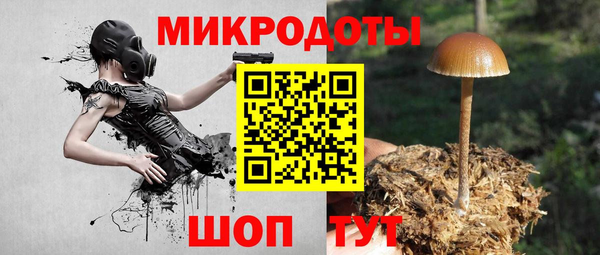 Псилоцибиновые грибы прущие грибы Искитим