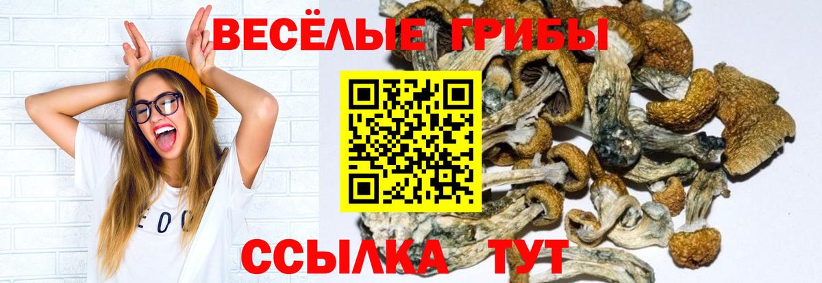 ГАШИШ Искитим
