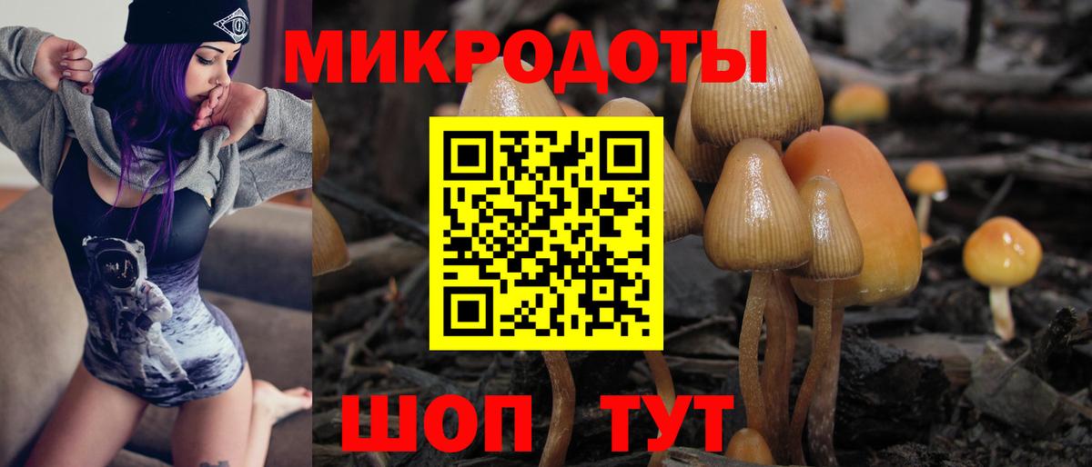 Искитим  Псилоцибиновые грибы мухоморы  Галлюциногенные грибы Psilocybe  Вход с VPN 